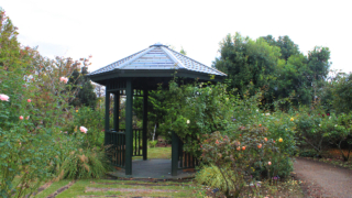 Thumbnail of post image 162