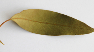 Thumbnail of post image 028