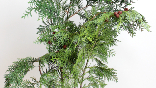 Thumbnail of post image 198