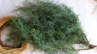 Thumbnail of post image 058