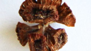 Thumbnail of post image 164