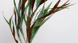 Thumbnail of post image 092