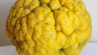 Thumbnail of post image 083