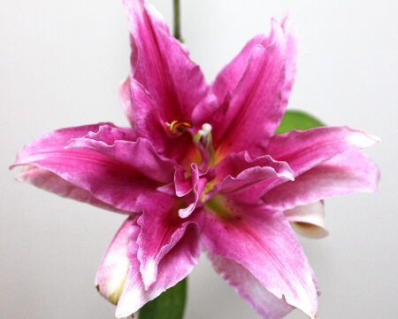 Thumbnail of post image 071