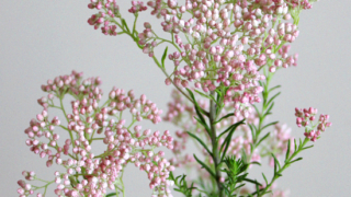 Thumbnail of post image 086